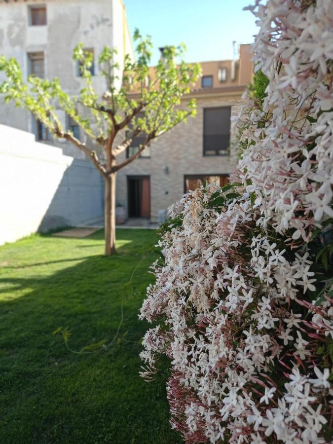 Casa Rural Alicia Villafranca de Ebro エクステリア 写真